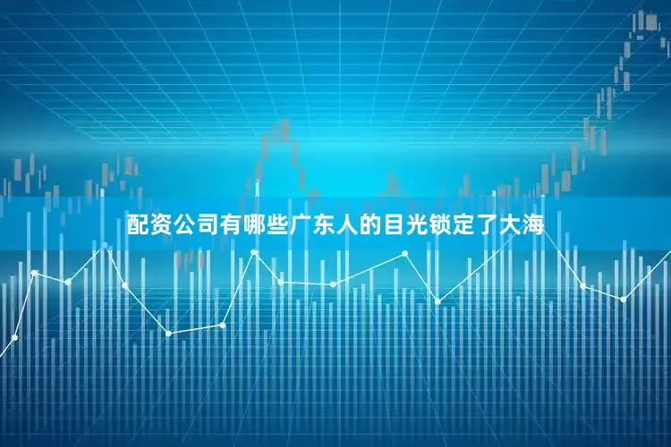 配资公司有哪些广东人的目光锁定了大海