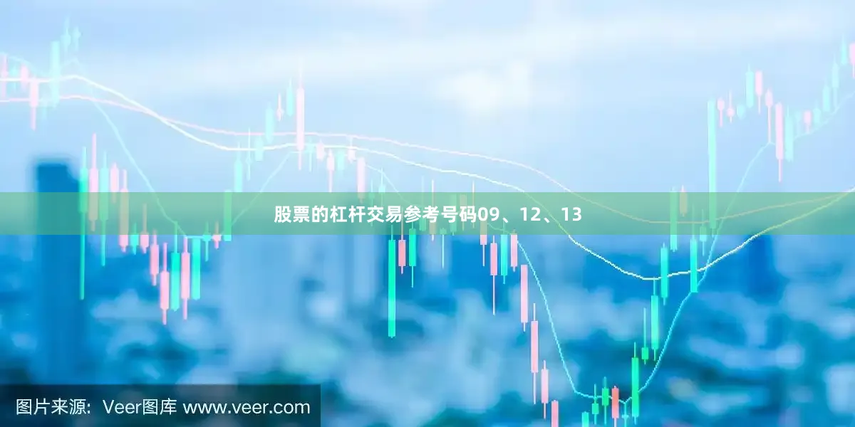 股票的杠杆交易参考号码09、12、13