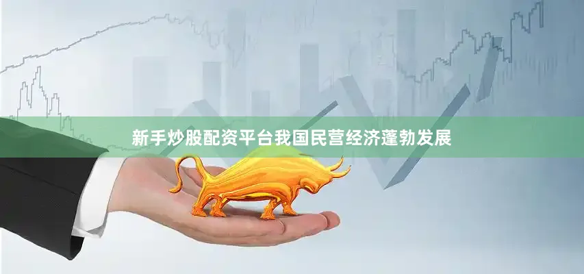 新手炒股配资平台我国民营经济蓬勃发展
