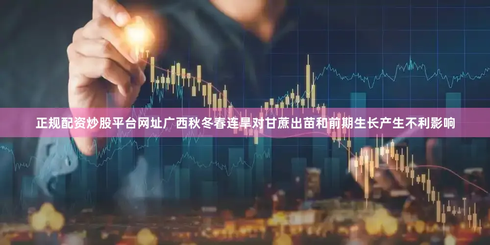 正规配资炒股平台网址广西秋冬春连旱对甘蔗出苗和前期生长产生不利影响