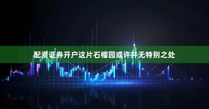 配资证券开户这片石榴园或许并无特别之处