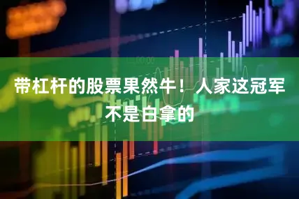 带杠杆的股票果然牛！人家这冠军不是白拿的
