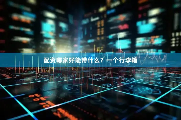 配资哪家好能带什么？一个行李箱